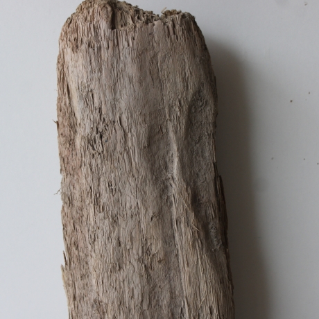 Treibholz Schwemmholz Driftwood 1  XXL   Skulptur  78  cm 