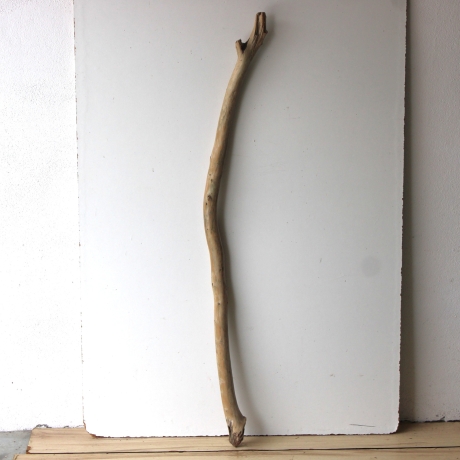 Treibholz Schwemmholz Driftwood 1 XXL  Ast  133  cm 