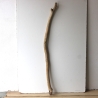 Treibholz Schwemmholz Driftwood 1 XXL  Ast  133  cm 