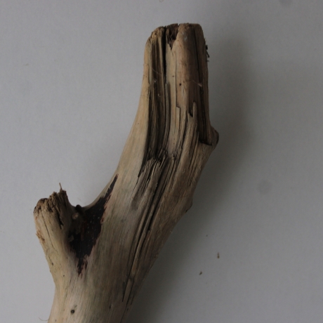 Treibholz Schwemmholz Driftwood 1 XXL  Ast  133  cm 