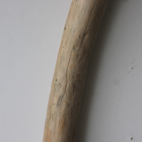 Treibholz Schwemmholz Driftwood 1 XXL  Ast  133  cm 