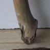 Treibholz Schwemmholz Driftwood 1 XXL  Ast  133  cm 