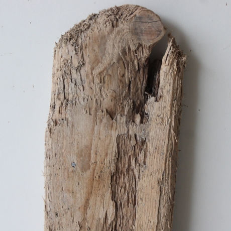 Treibholz Schwemmholz Driftwood  1 XL Brett Regal 75 cm  