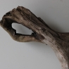 Treibholz Schwemmholz Driftwood 1  XXL   Skulptur  90  cm 