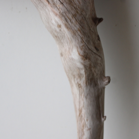 Treibholz Schwemmholz Driftwood 1  XXL   Skulptur  90  cm 