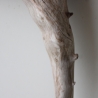 Treibholz Schwemmholz Driftwood 1  XXL   Skulptur  90  cm 