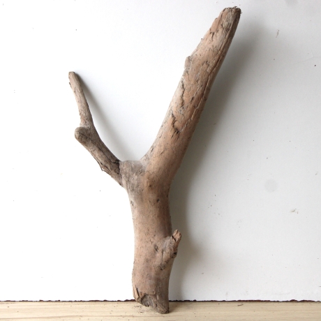 Treibholz Schwemmholz Driftwood 1  XL   Skulptur  61  cm 