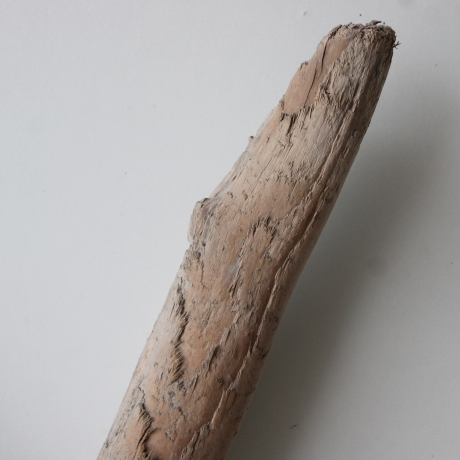 Treibholz Schwemmholz Driftwood 1  XL   Skulptur  61  cm 