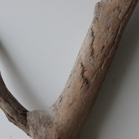 Treibholz Schwemmholz Driftwood 1  XL   Skulptur  61  cm 