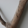 Treibholz Schwemmholz Driftwood 1  XL   Skulptur  61  cm 