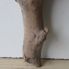 Treibholz Schwemmholz Driftwood 1  XL   Skulptur  61  cm 