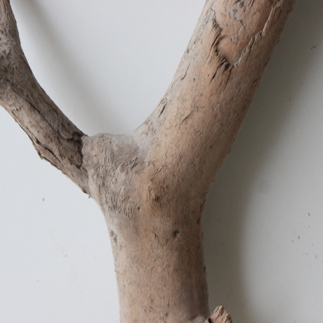 Treibholz Schwemmholz Driftwood 1  XL   Skulptur  61  cm 