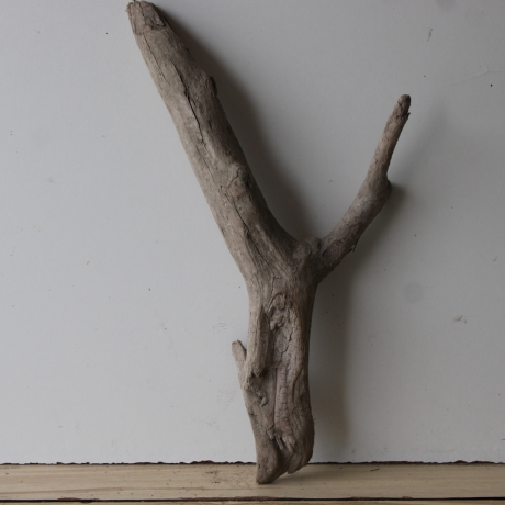 Treibholz Schwemmholz Driftwood 1  XL   Skulptur  61  cm 