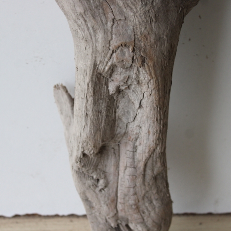 Treibholz Schwemmholz Driftwood 1  XL   Skulptur  61  cm 