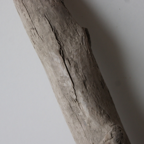 Treibholz Schwemmholz Driftwood 1  XL   Skulptur  61  cm 