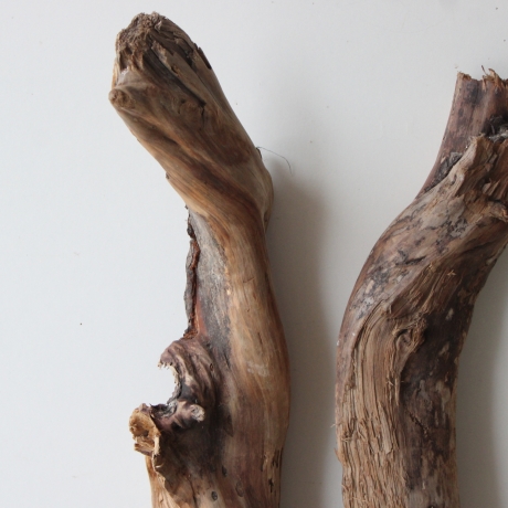 Treibholz Schwemmholz Driftwood 2 XXL Hölzer Terrarium 77-82cm 