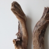 Treibholz Schwemmholz Driftwood 2 XXL Hölzer Terrarium 77-82cm 