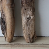 Treibholz Schwemmholz Driftwood 2 XXL Hölzer Terrarium 77-82cm 
