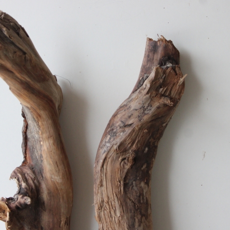 Treibholz Schwemmholz Driftwood 2 XXL Hölzer Terrarium 77-82cm 