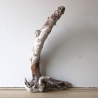 Treibholz Schwemmholz Driftwood 1 knorrige Wurzel  57 cm  