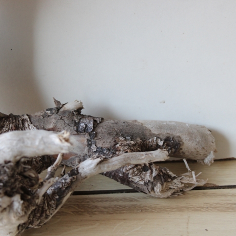 Treibholz Schwemmholz Driftwood 1 knorrige Wurzel  57 cm  