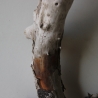 Treibholz Schwemmholz Driftwood 1 knorrige Wurzel  57 cm  