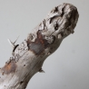 Treibholz Schwemmholz Driftwood 1 knorrige Wurzel  57 cm  