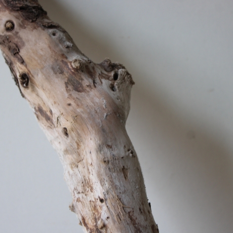 Treibholz Schwemmholz Driftwood 1 knorrige Wurzel  57 cm  