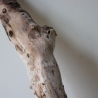 Treibholz Schwemmholz Driftwood 1 knorrige Wurzel  57 cm  