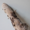 Treibholz Schwemmholz Driftwood 1 knorrige Wurzel  57 cm  