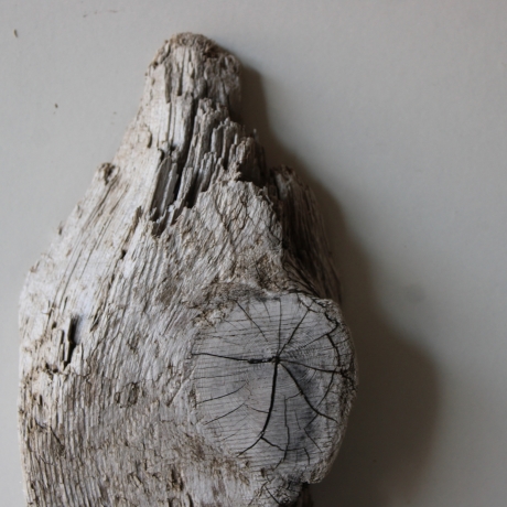 Treibholz Schwemmholz Driftwood  1 dickes  Brett Regal 69 cm 