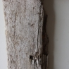 Treibholz Schwemmholz Driftwood  1 dickes  Brett Regal 69 cm 