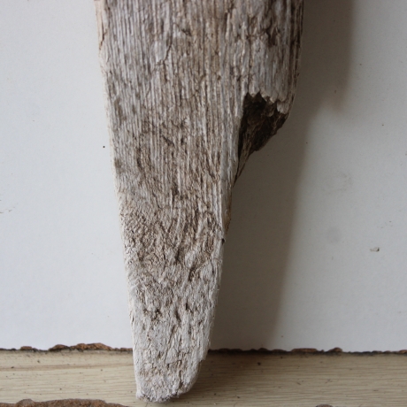 Treibholz Schwemmholz Driftwood  1 dickes  Brett Regal 69 cm 