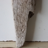 Treibholz Schwemmholz Driftwood  1 dickes  Brett Regal 69 cm 