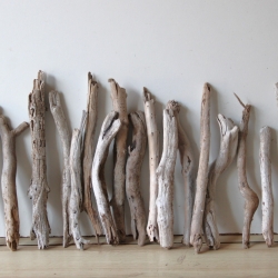 Treibholz Schwemmholz Driftwood 20 Ästchen 23-33 cm  *GW*