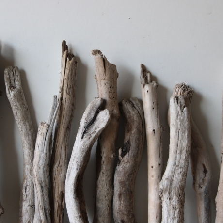 Treibholz Schwemmholz Driftwood 20 Ästchen 23-33 cm  *GW*