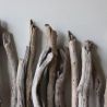 Treibholz Schwemmholz Driftwood 20 Ästchen 23-33 cm  *GW*