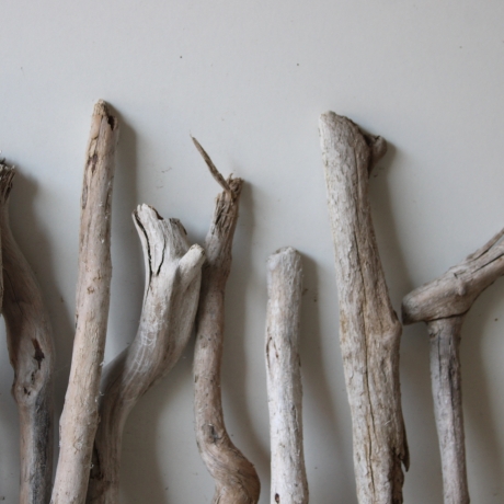 Treibholz Schwemmholz Driftwood 20 Ästchen 23-33 cm  *GW*