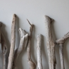 Treibholz Schwemmholz Driftwood 20 Ästchen 23-33 cm  *GW*