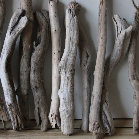 Treibholz Schwemmholz Driftwood 20 Ästchen 23-33 cm  *GW*