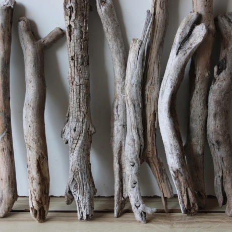 Treibholz Schwemmholz Driftwood 20 Ästchen 23-33 cm  *GW*
