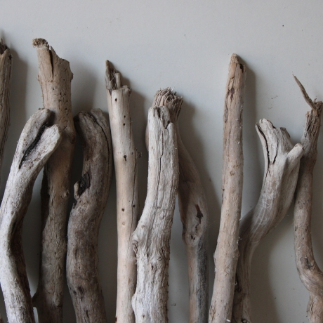 Treibholz Schwemmholz Driftwood 20 Ästchen 23-33 cm  *GW*