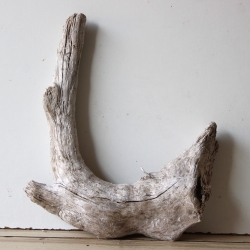 Treibholz Schwemmholz Driftwood 1  Wurzel  36 cm  hoch