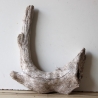Treibholz Schwemmholz Driftwood 1  Wurzel  36 cm  hoch