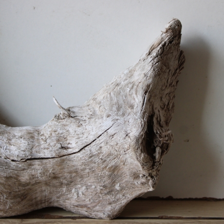 Treibholz Schwemmholz Driftwood 1  Wurzel  36 cm  hoch