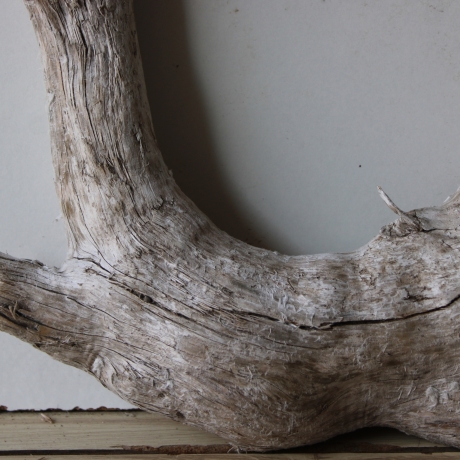 Treibholz Schwemmholz Driftwood 1  Wurzel  36 cm  hoch