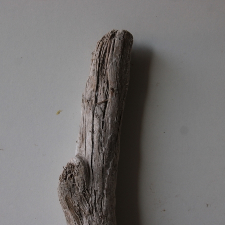 Treibholz Schwemmholz Driftwood 1  Wurzel  36 cm  hoch