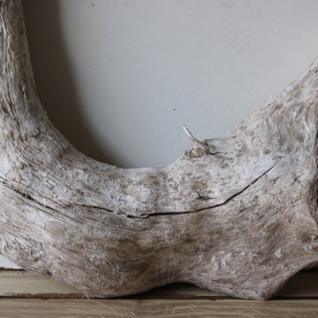 Treibholz Schwemmholz Driftwood 1  Wurzel  36 cm  hoch