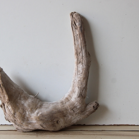 Treibholz Schwemmholz Driftwood 1  Wurzel  36 cm  hoch