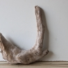 Treibholz Schwemmholz Driftwood 1  Wurzel  36 cm  hoch